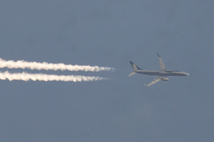 EI-DLD